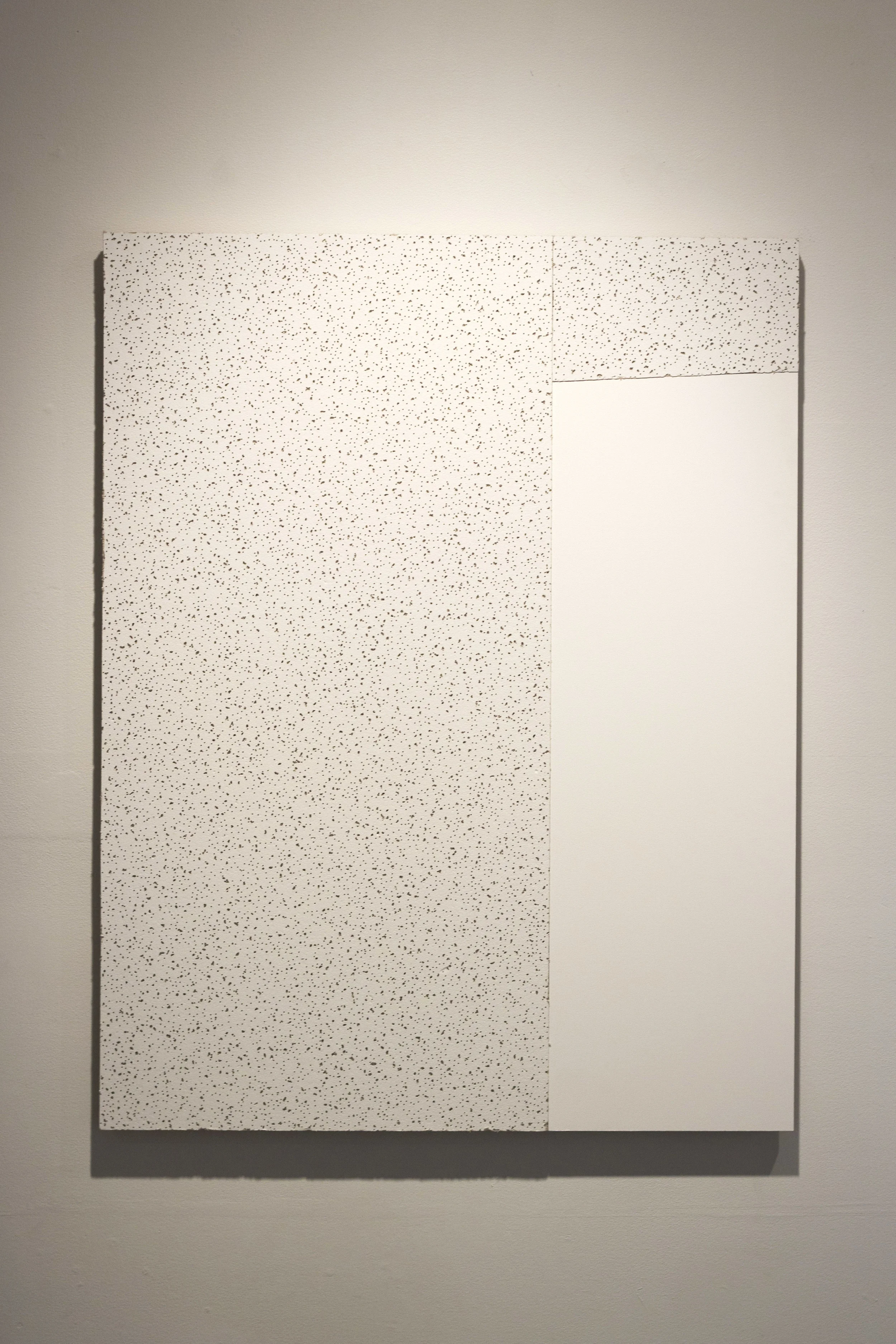 Untitled (Ceiling 2)
