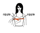 Bust Lift your arms to the side and measure around your body, crossing over the fullest part of the chest.