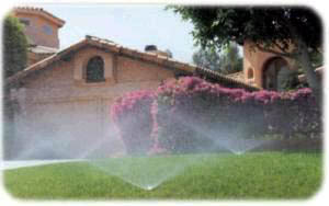 sprinklers 1.jpg