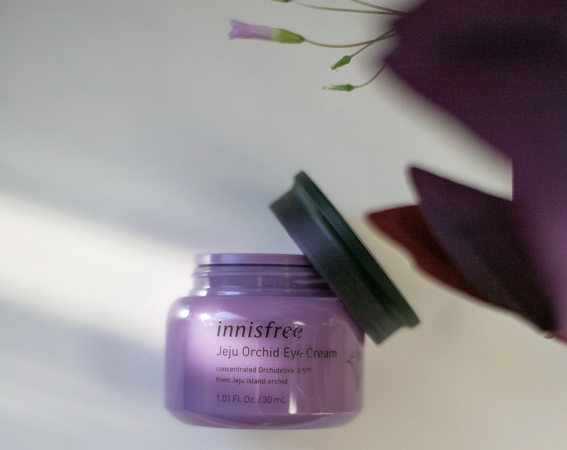 InDepth Innisfree Orchid Eye Cream Review — Artistry by T