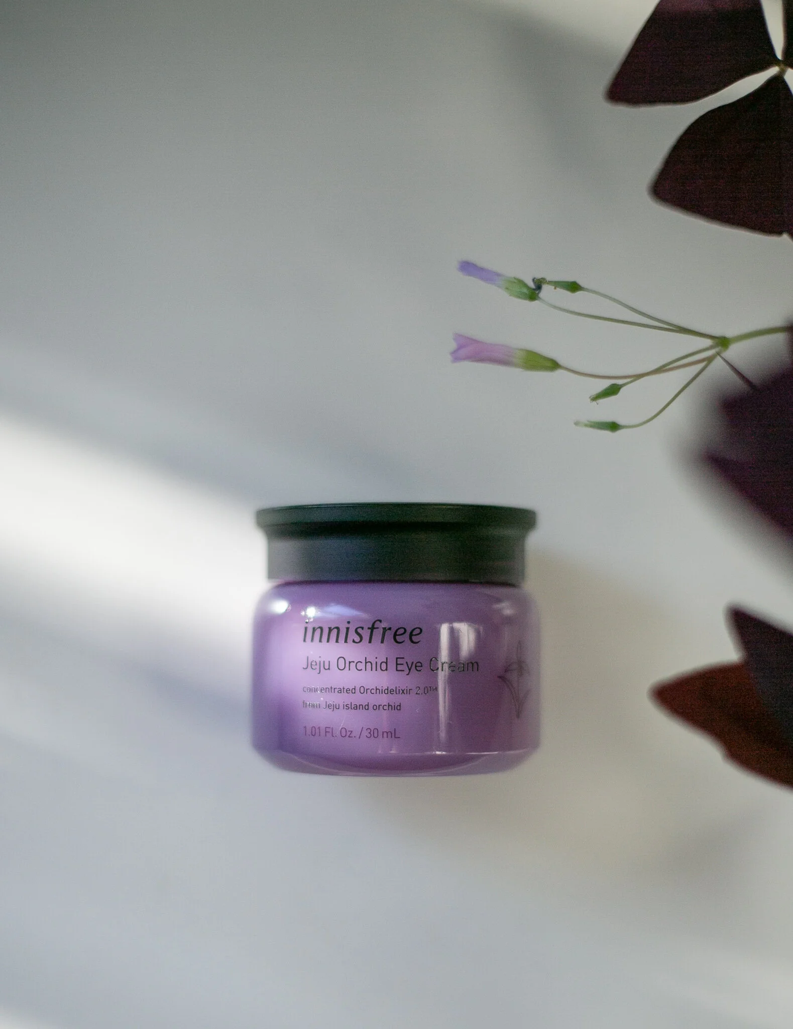 InDepth Innisfree Orchid Eye Cream Review — Artistry by T