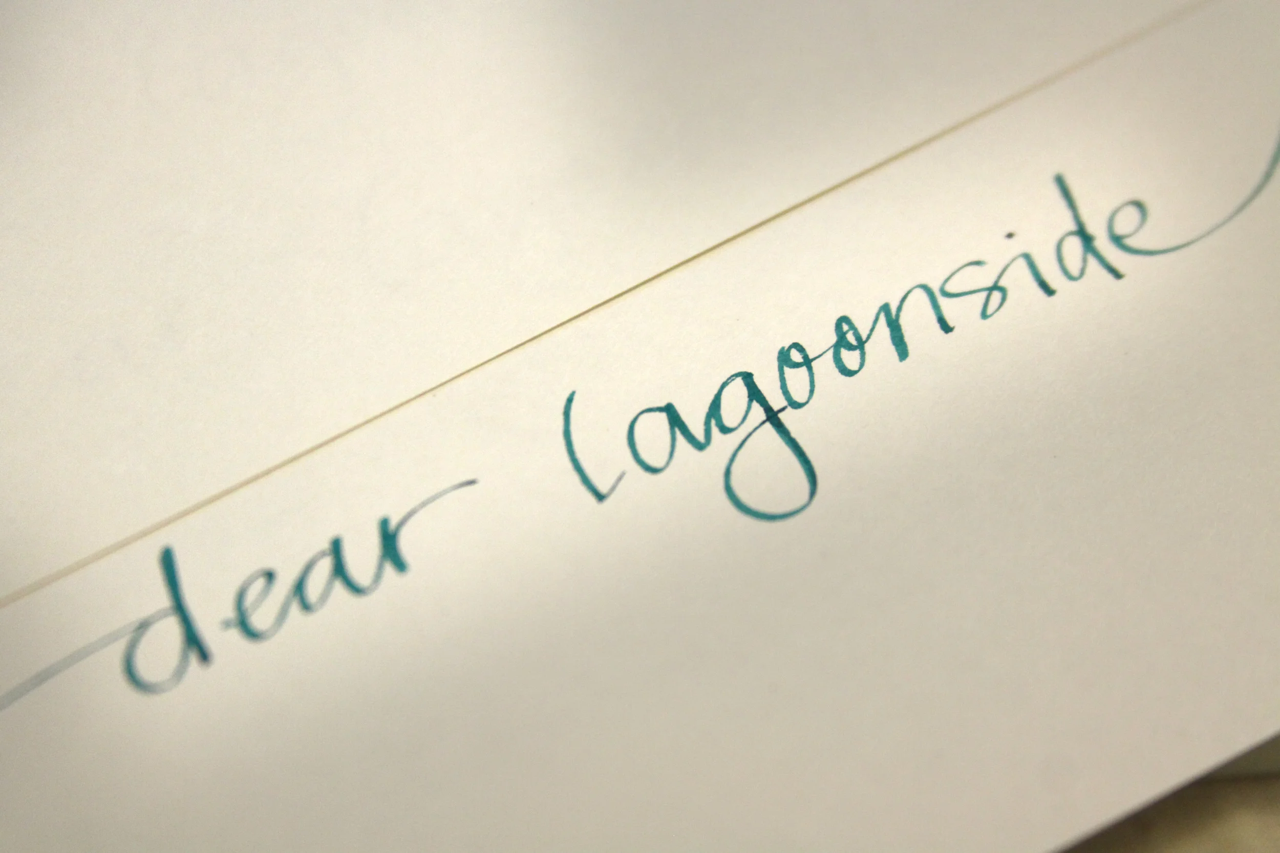 dear_lagoonside1.jpg
