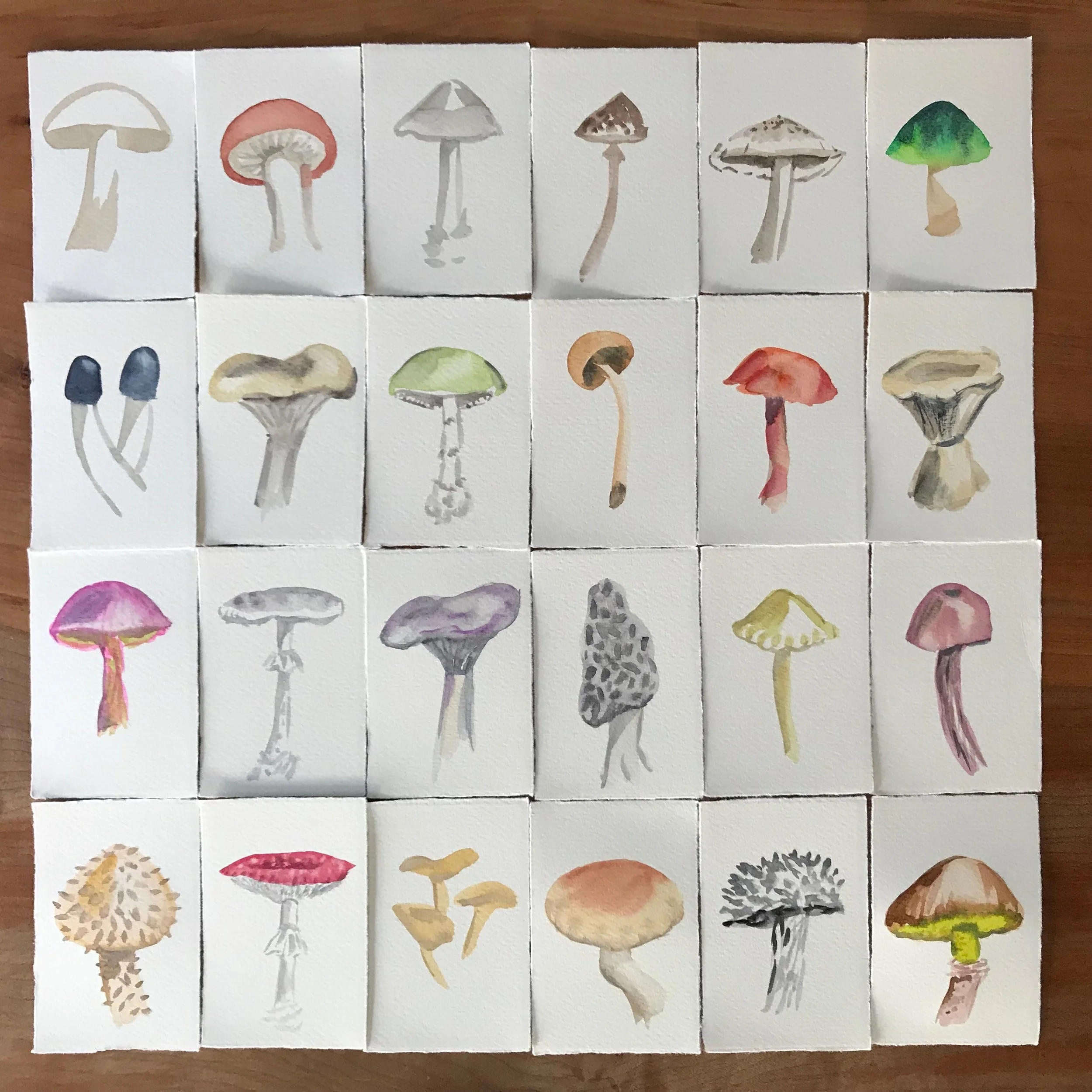 Mushrooms