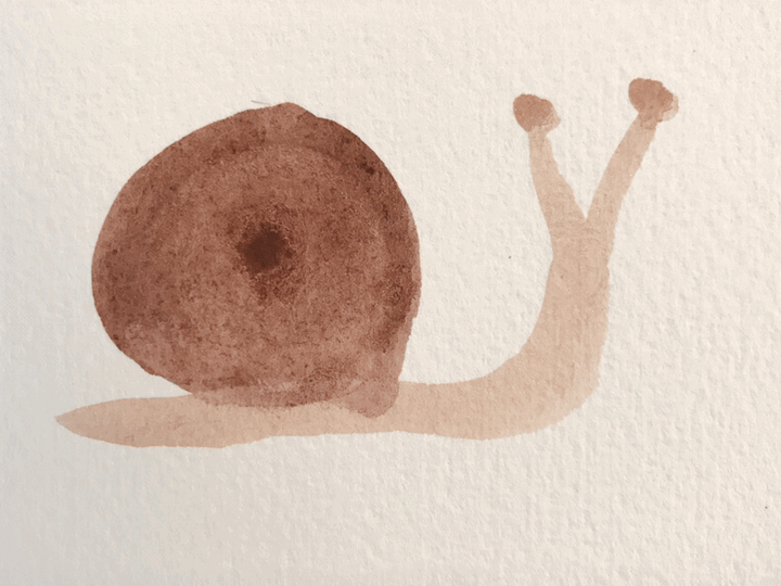 snail.gif