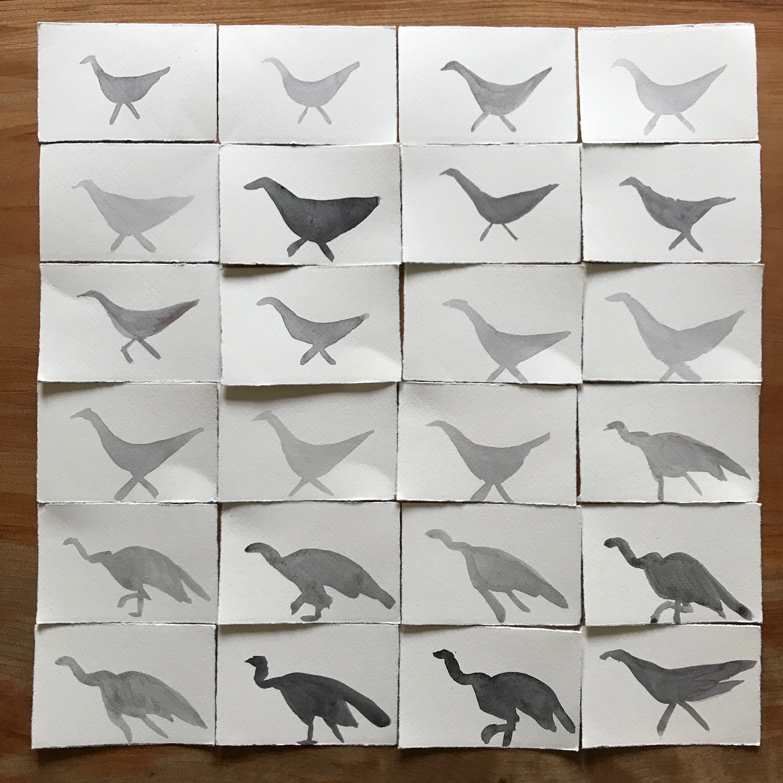  08/10/19 Wild Turkey 