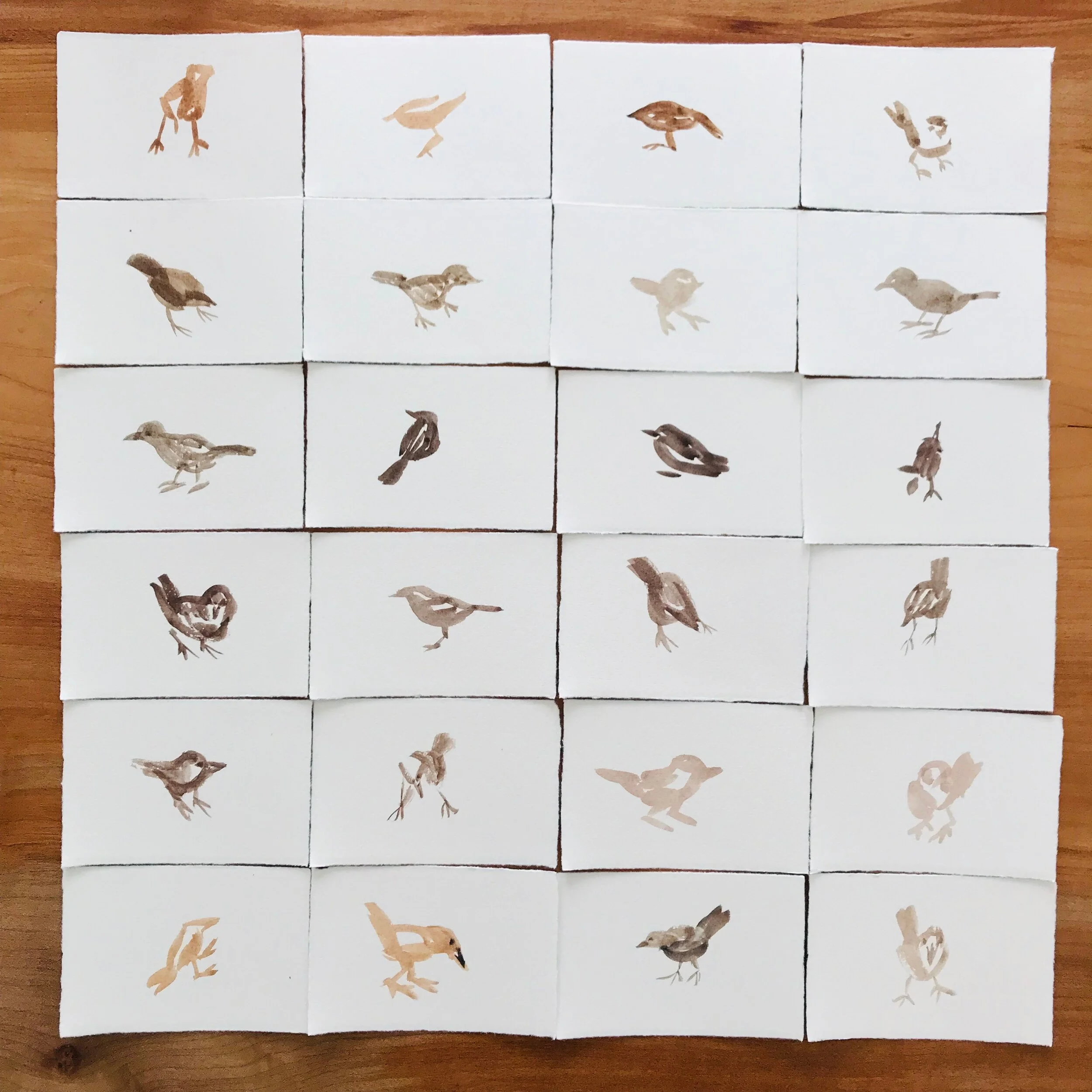  10/08/19 Little Bird 