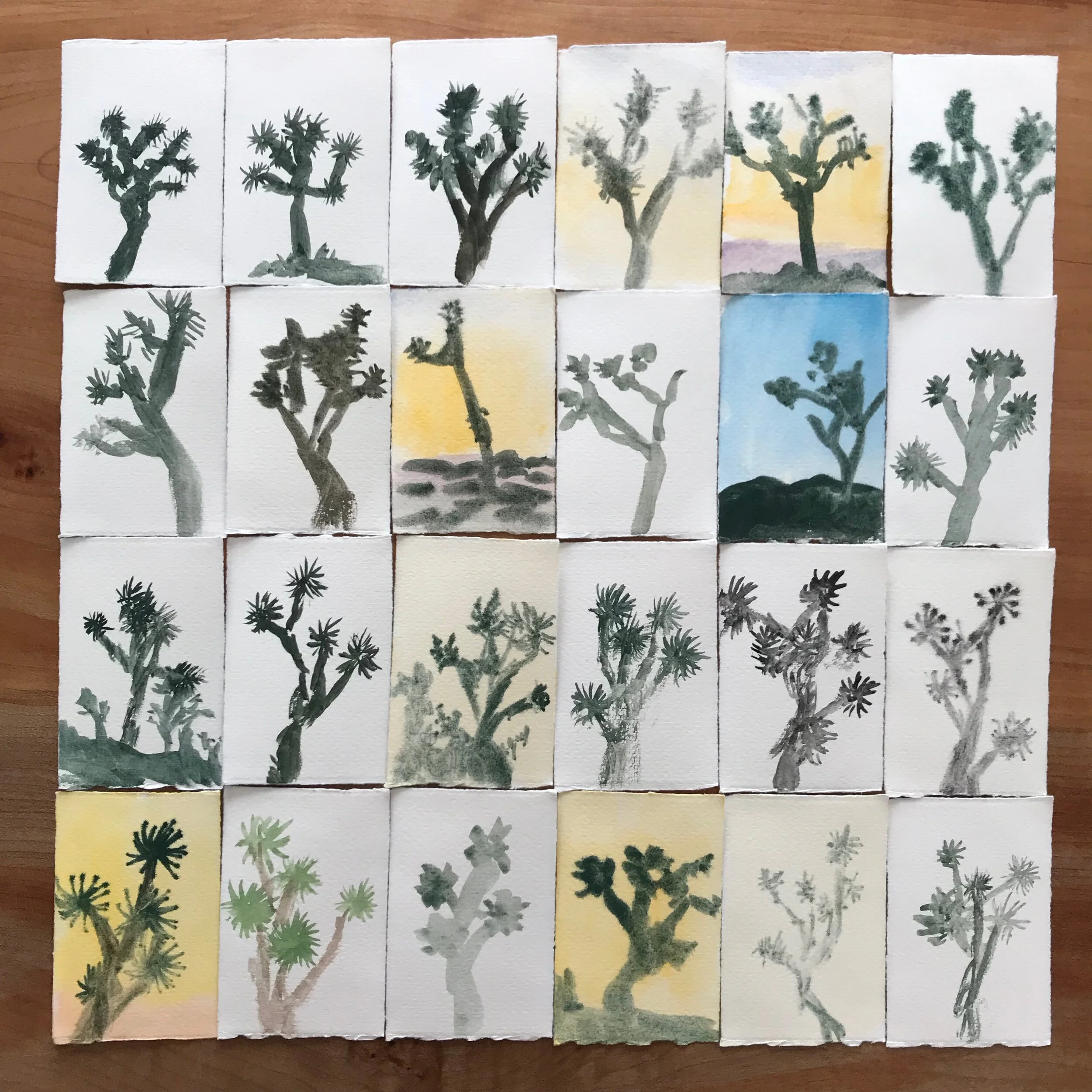  10/09/19 Joshua Tree 