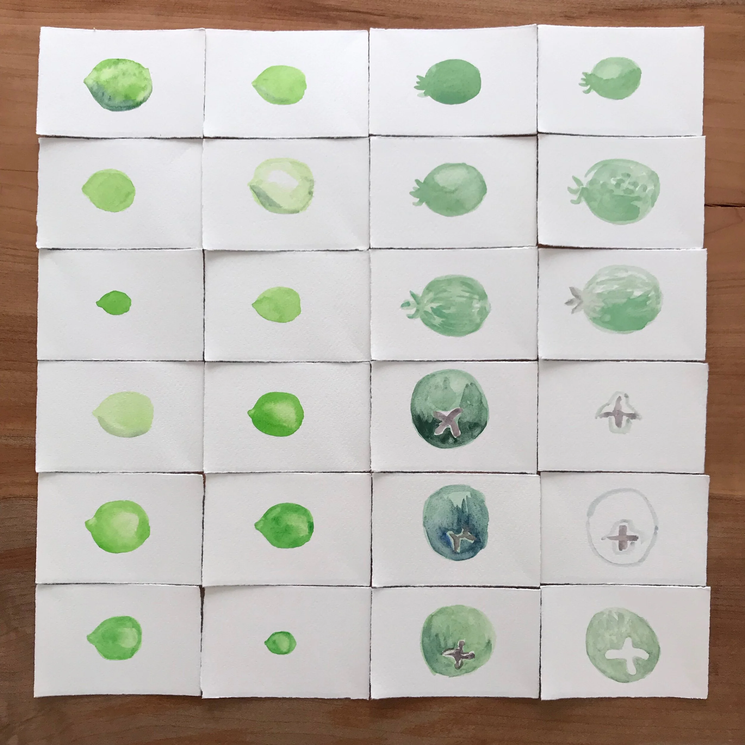  10/16/19 Key Limes and Pineapple Guava 