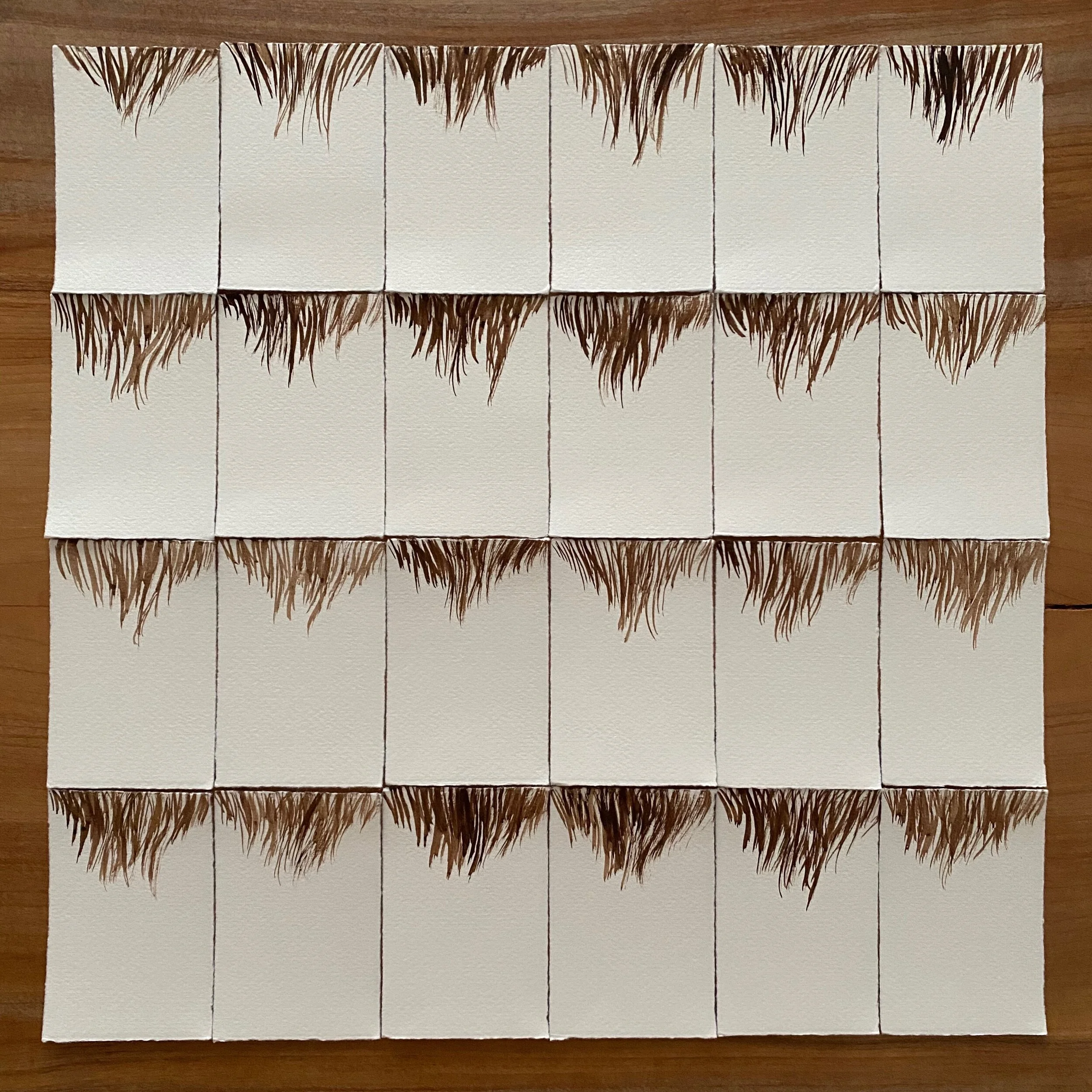  11/23/19 Widows Peak 