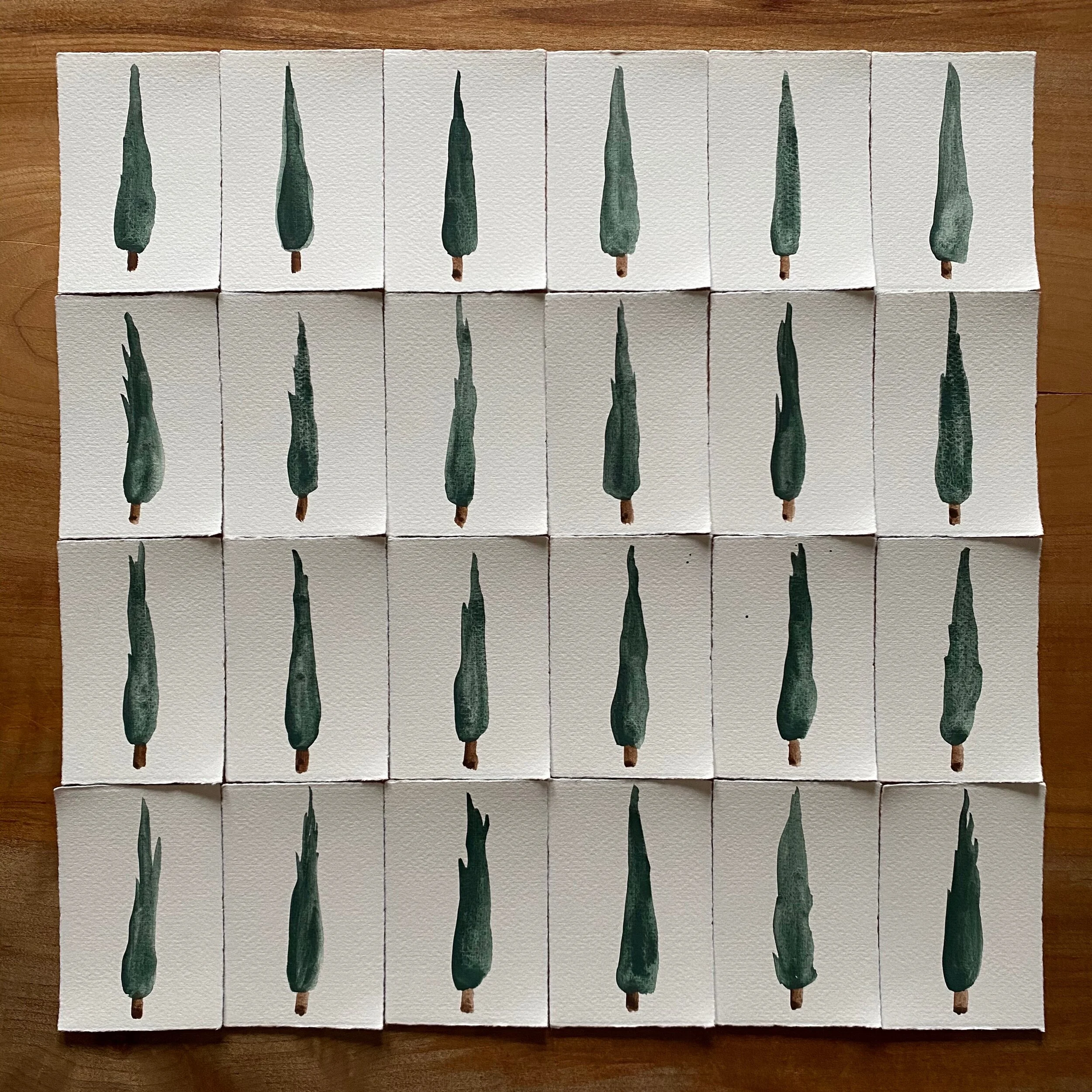  12/10/19 Mediterranean Cypress 