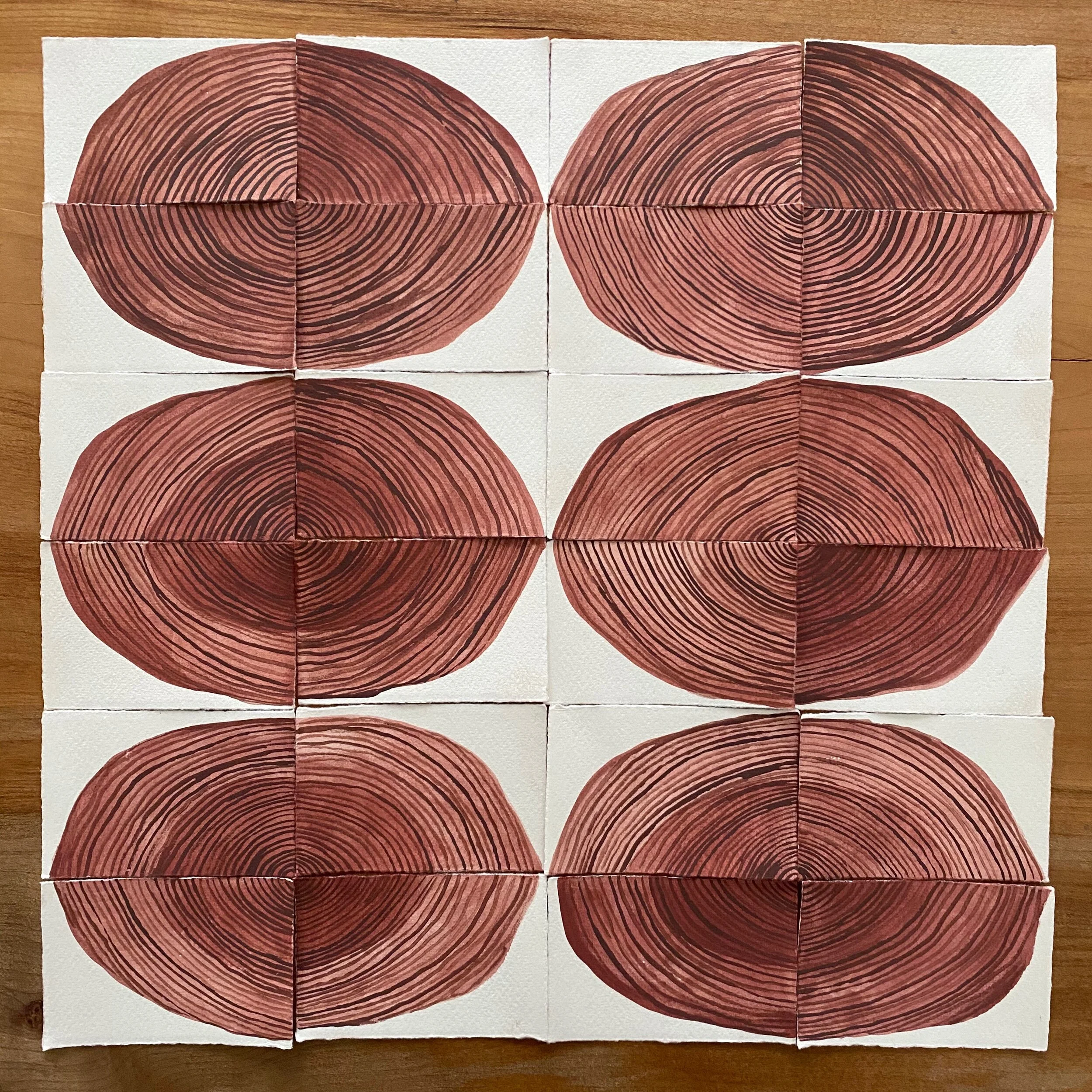  12/24/19 Growth Rings 
