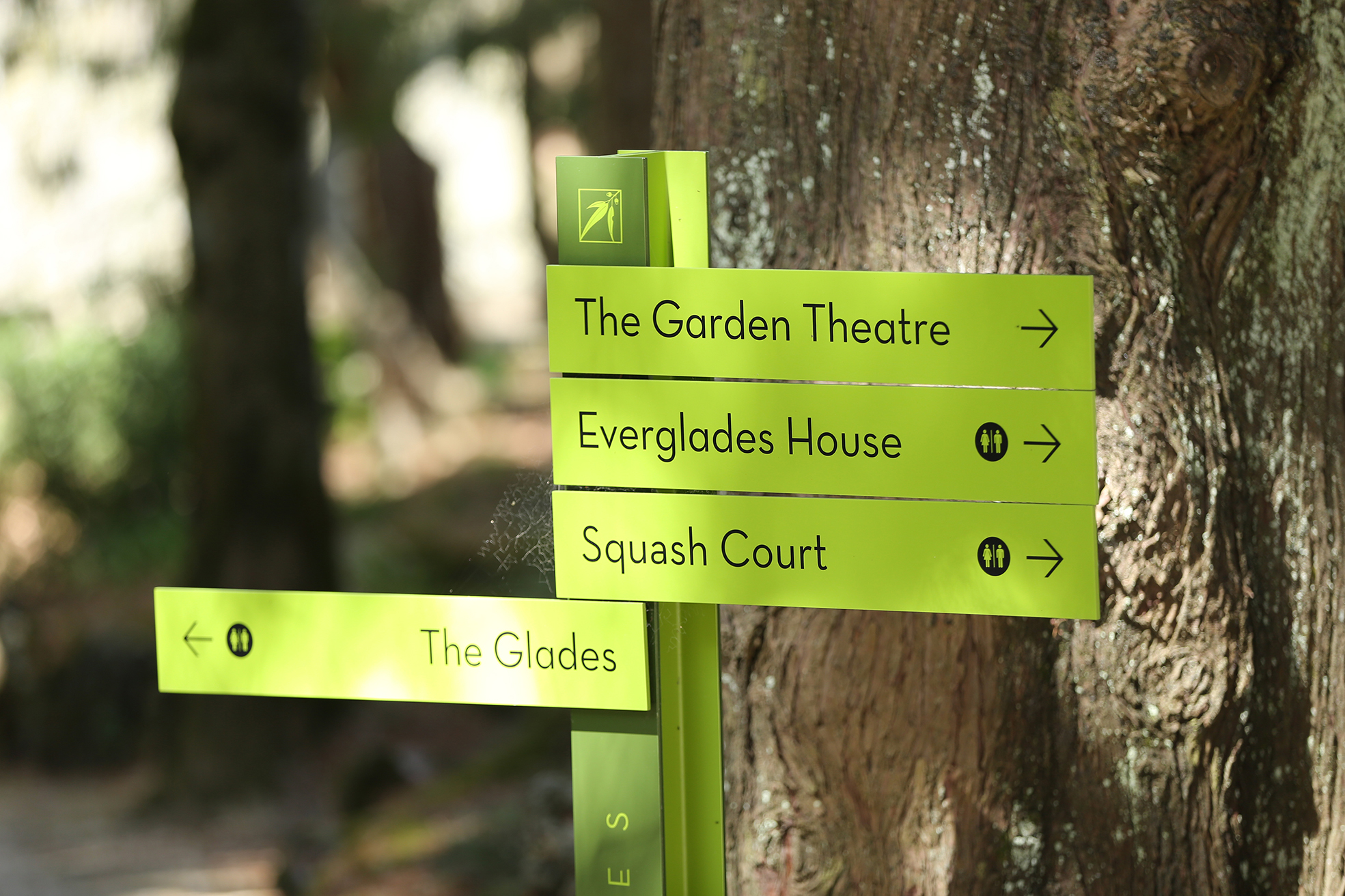 Everglades_9_lowres.jpg
