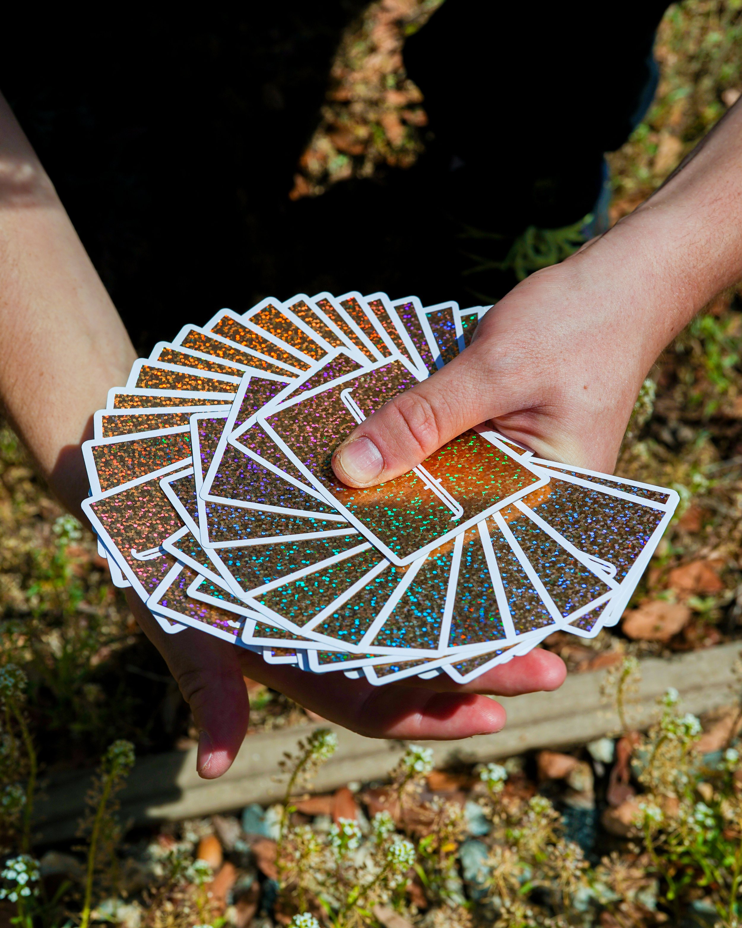 BLACK HOLOS & RAINBOW HOLOS — FONTAINE CARDS