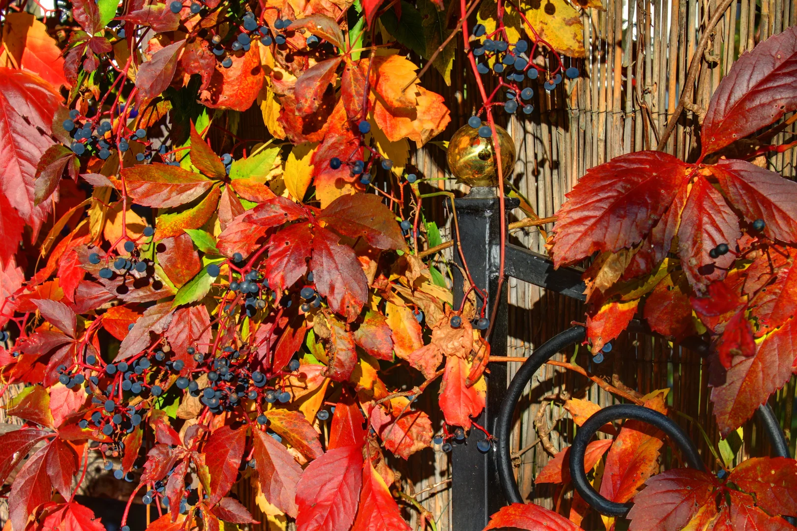 Weinprobe Herbstweine 20.10.2018 20.00Uhr