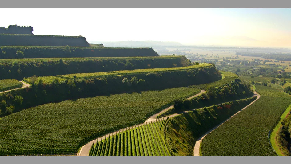 Weinprobe Kaiserstuhl / 24.11.2018 / 20.00Uhr