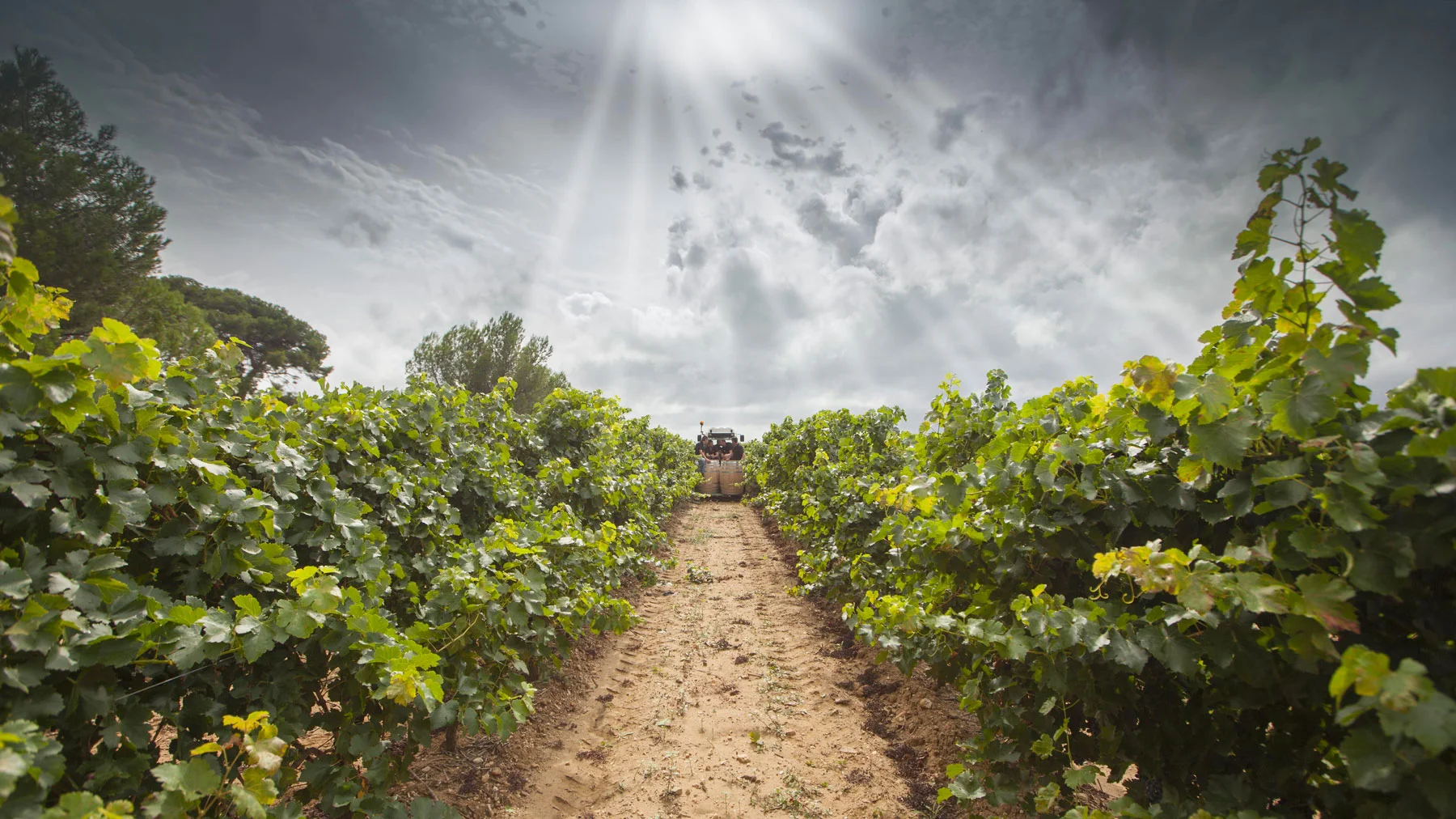 Weinverkostung "Les Jamelles" Samstag 23.02.2019 20.00 