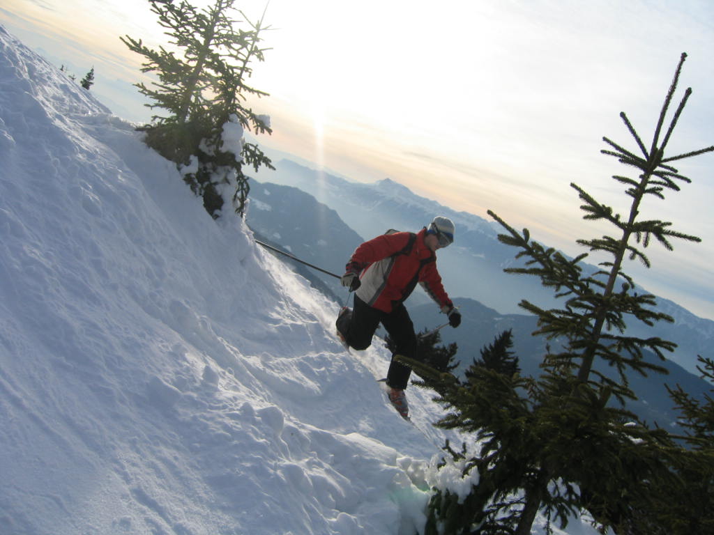 dans les sapins collet d'allevard.JPG