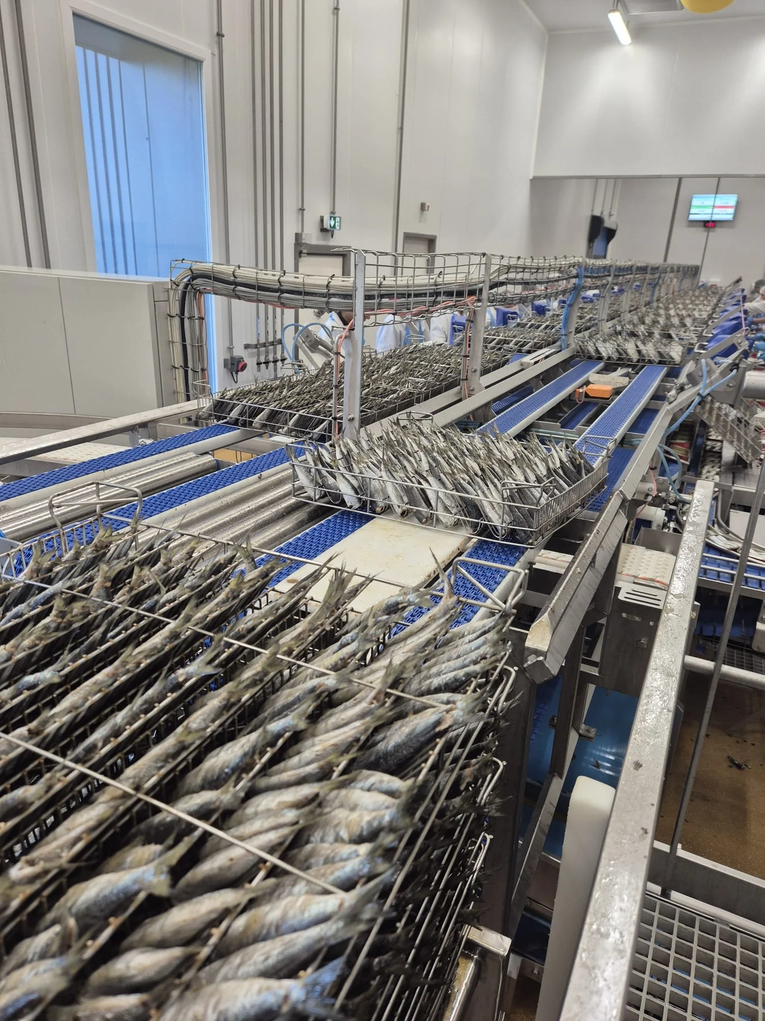 WhatsApp Image 2026-01-27 at 13.25.27.jpeg