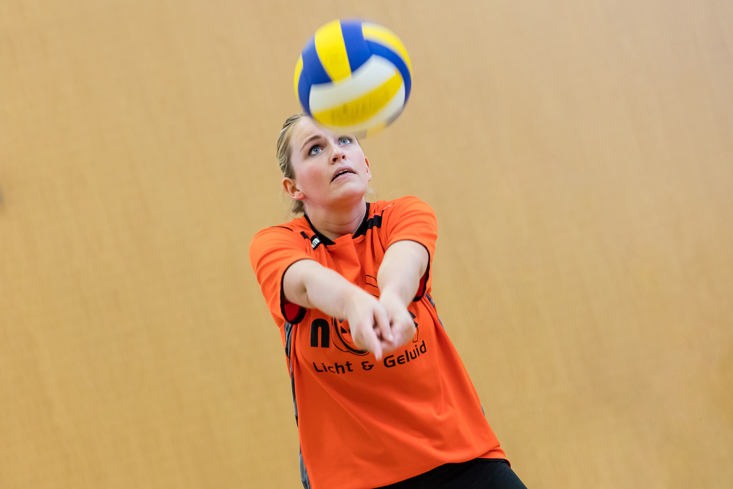 Volleybalvereniging Lierderholthuis