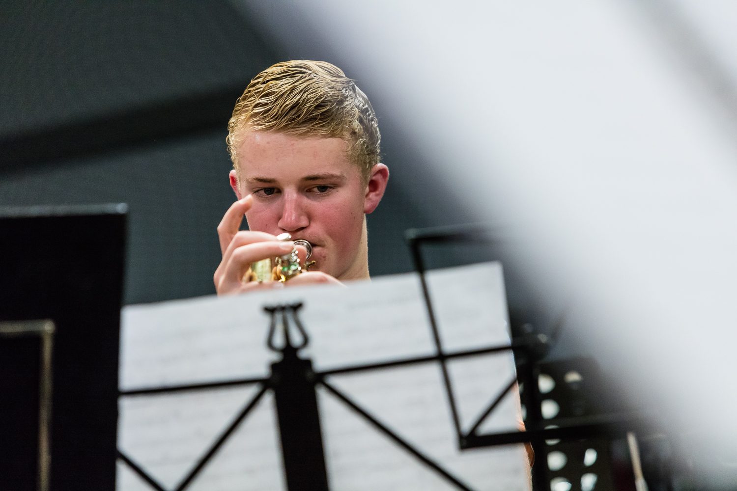 Muziekvereniging Salland, Lierderholthuis