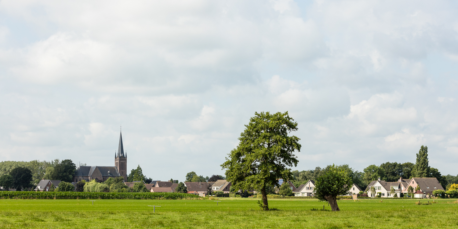 Boerhaar