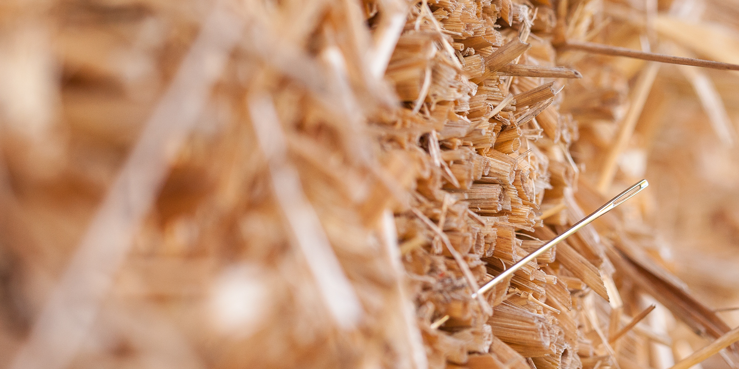 Beeld materiaal voor hogeringoogle.website