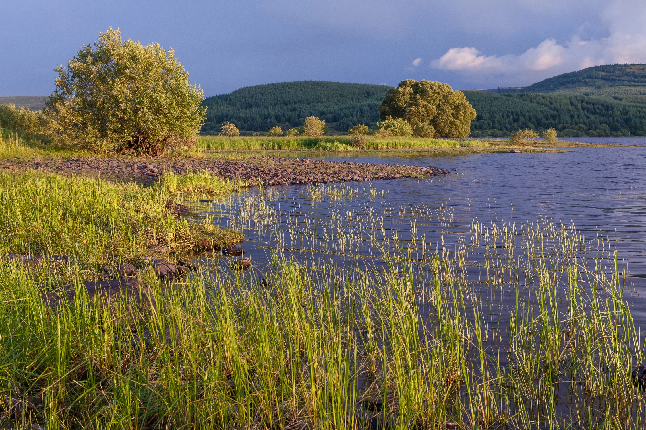 Carron Valley