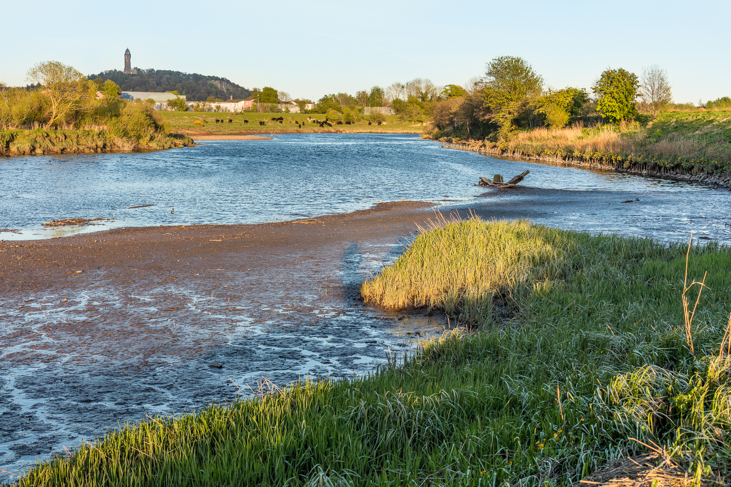De River Forth met in de achtergrond het Wallace monument All images by: Photographer Stirling