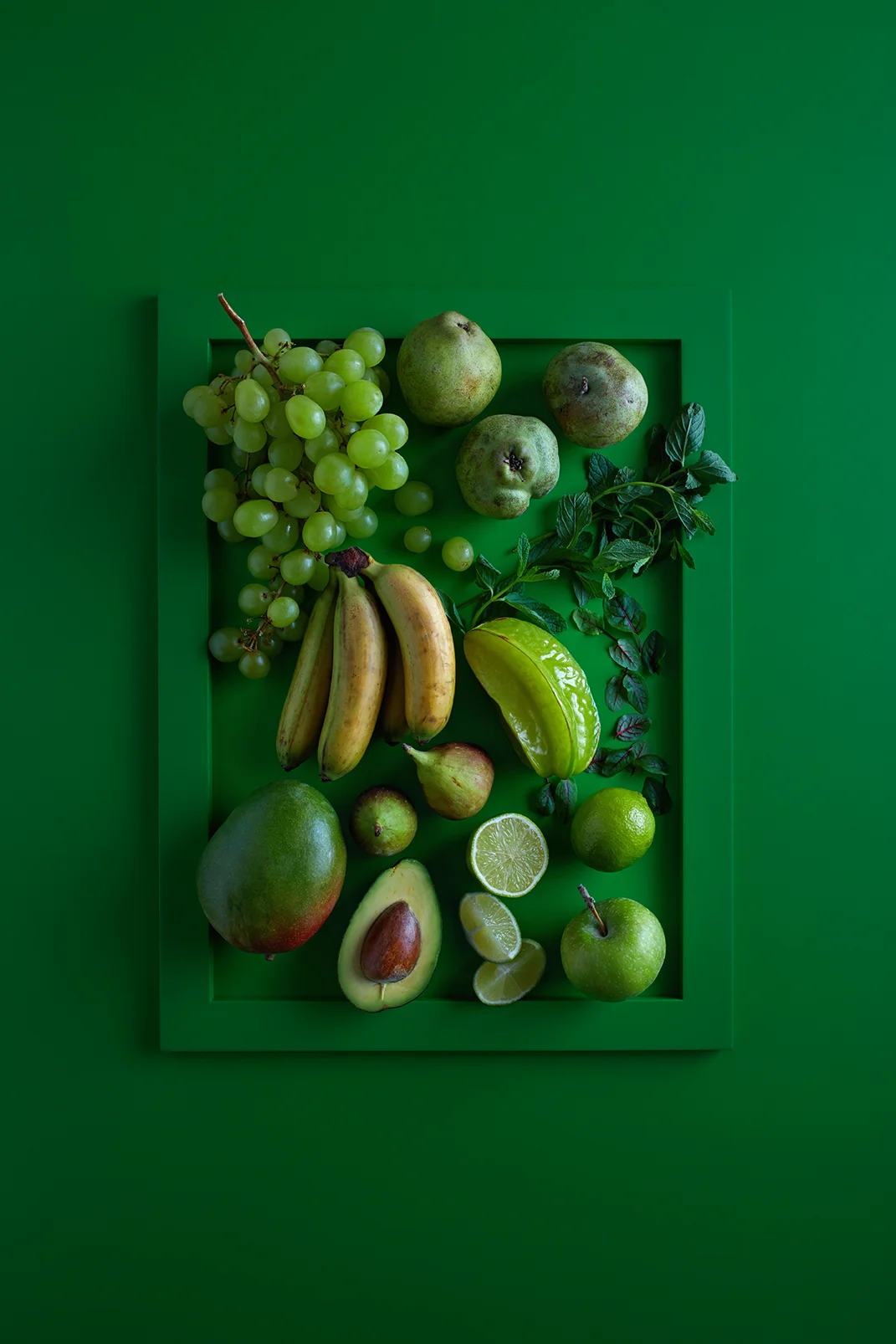 Color Palette of MSA Istanbul / Light Green