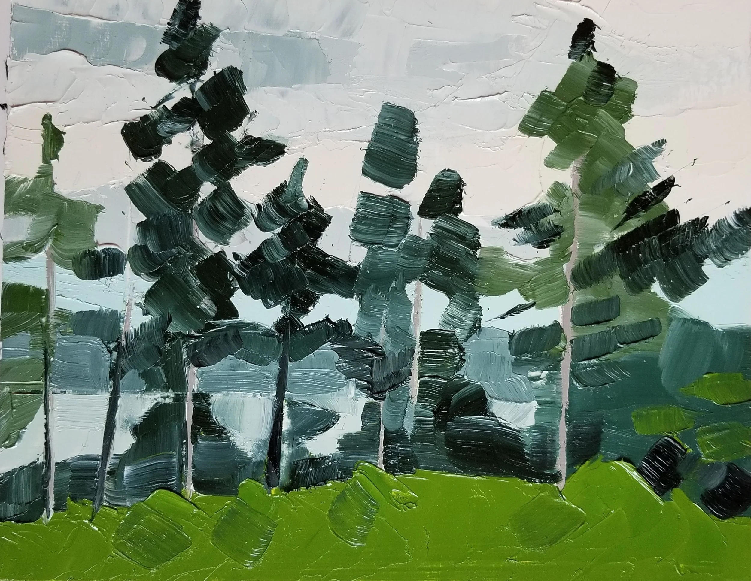 20180902_180813.jpg