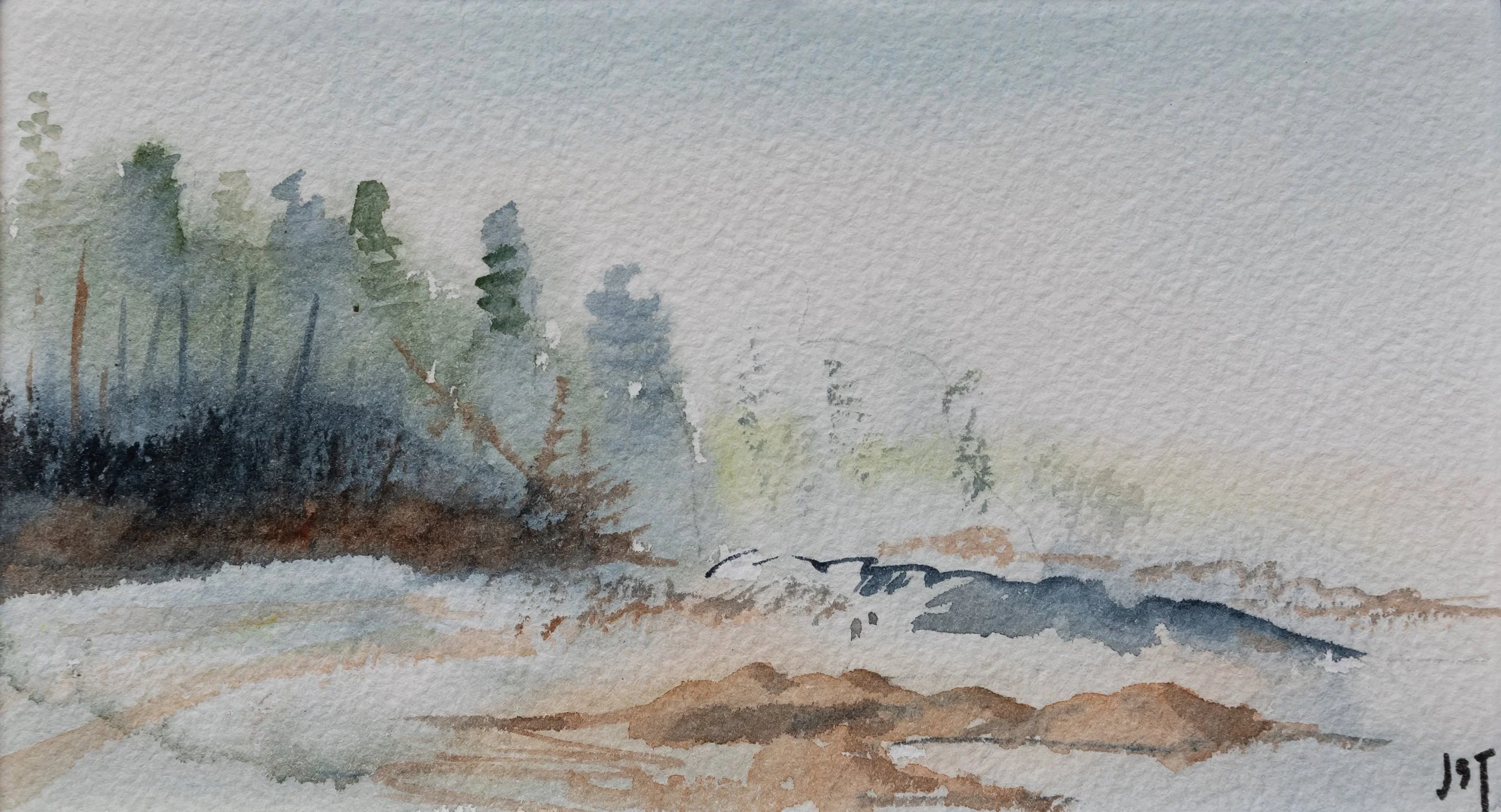 Fog on Babbidge Island