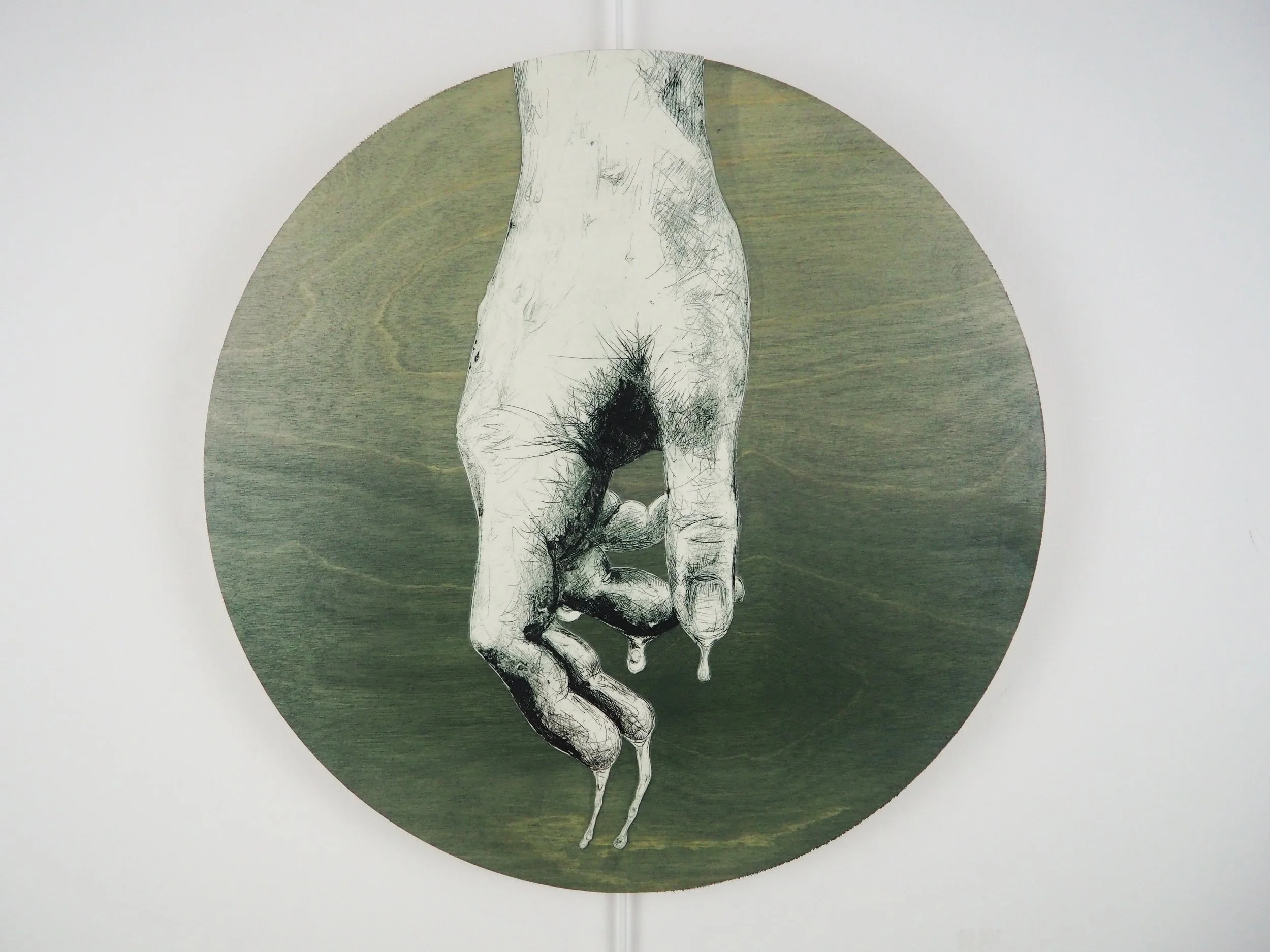 Rachel Thornton, METAMORPHO.30CM.jpg