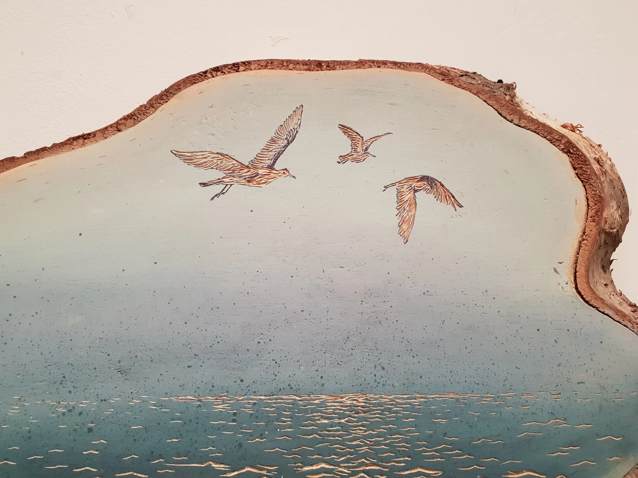 20180319_144942.jpg