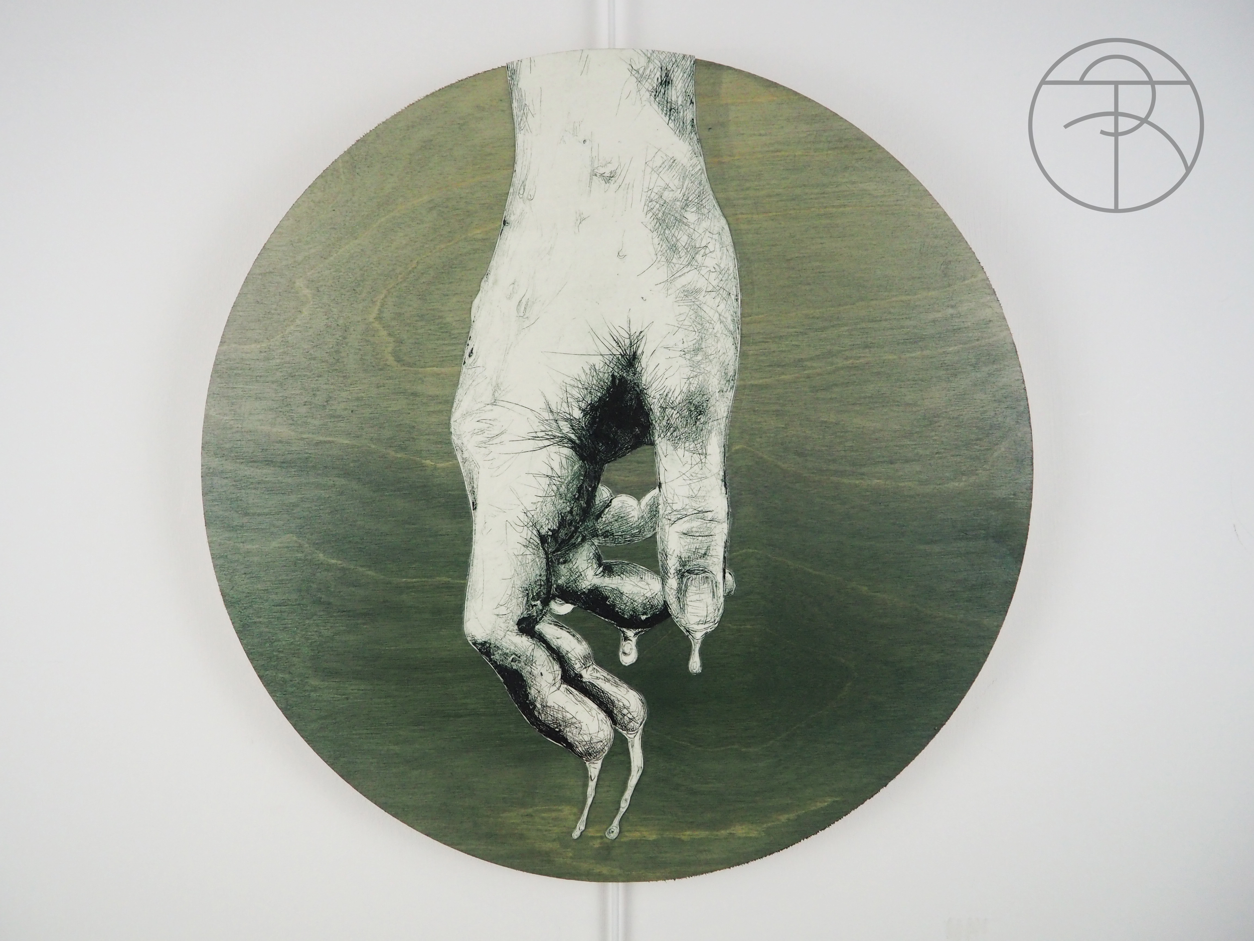Rachel Thornton, METAMORPHO.30CM.png
