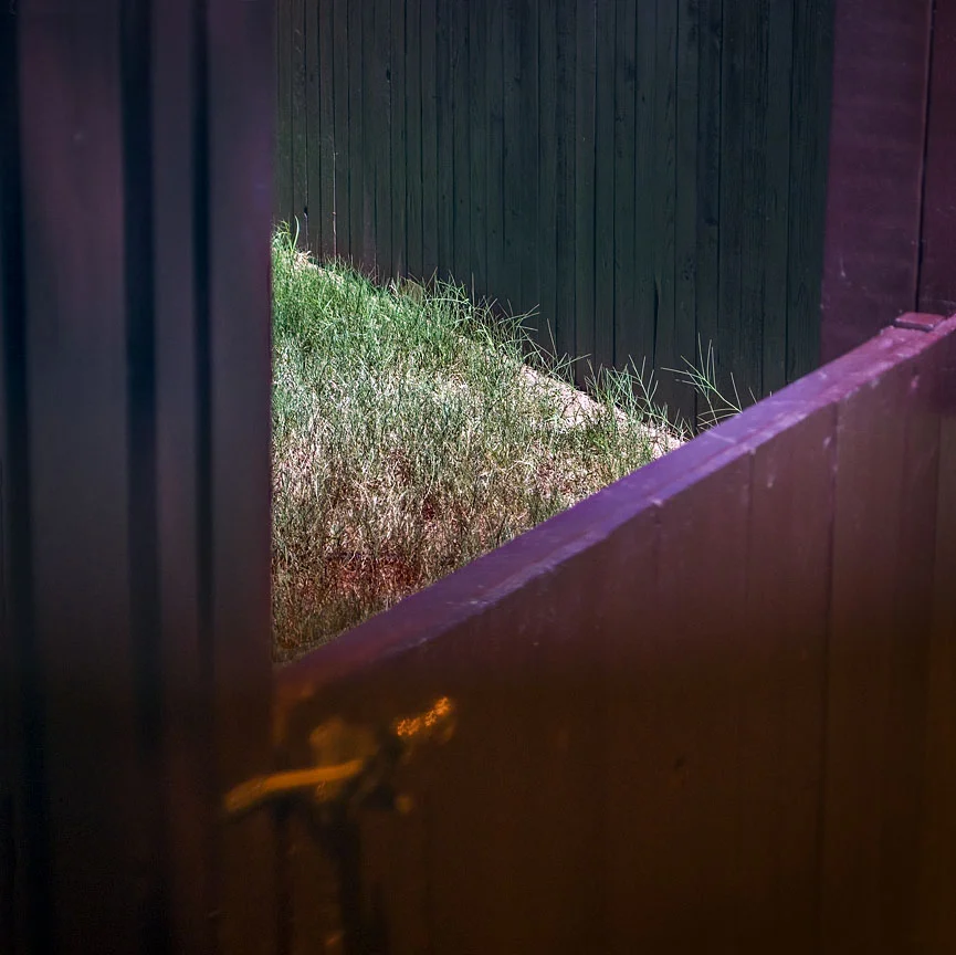WEB Grass.jpg