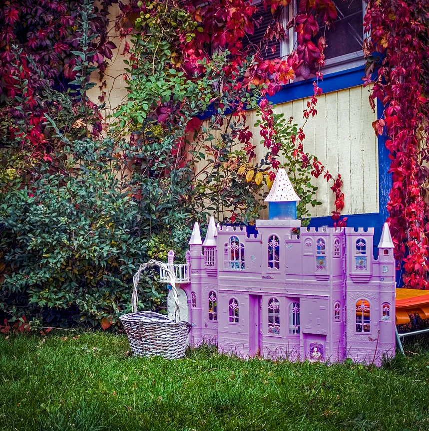 WEB Pink Castle.jpg