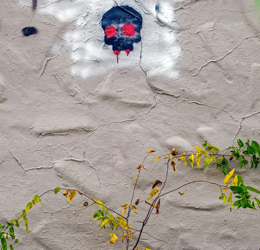 WEB Skull.jpg