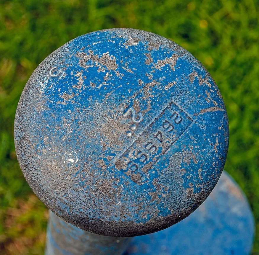 WEB Blue Metal Post.jpg