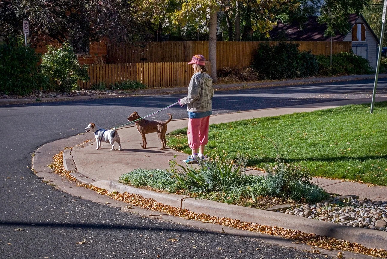 WEB Woman Two Dogs (1 of 1) +Elem12 2.jpg