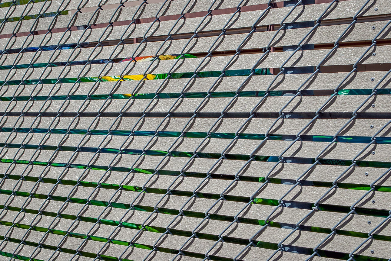 WEB *Yellow through fence (1 of 1).jpg