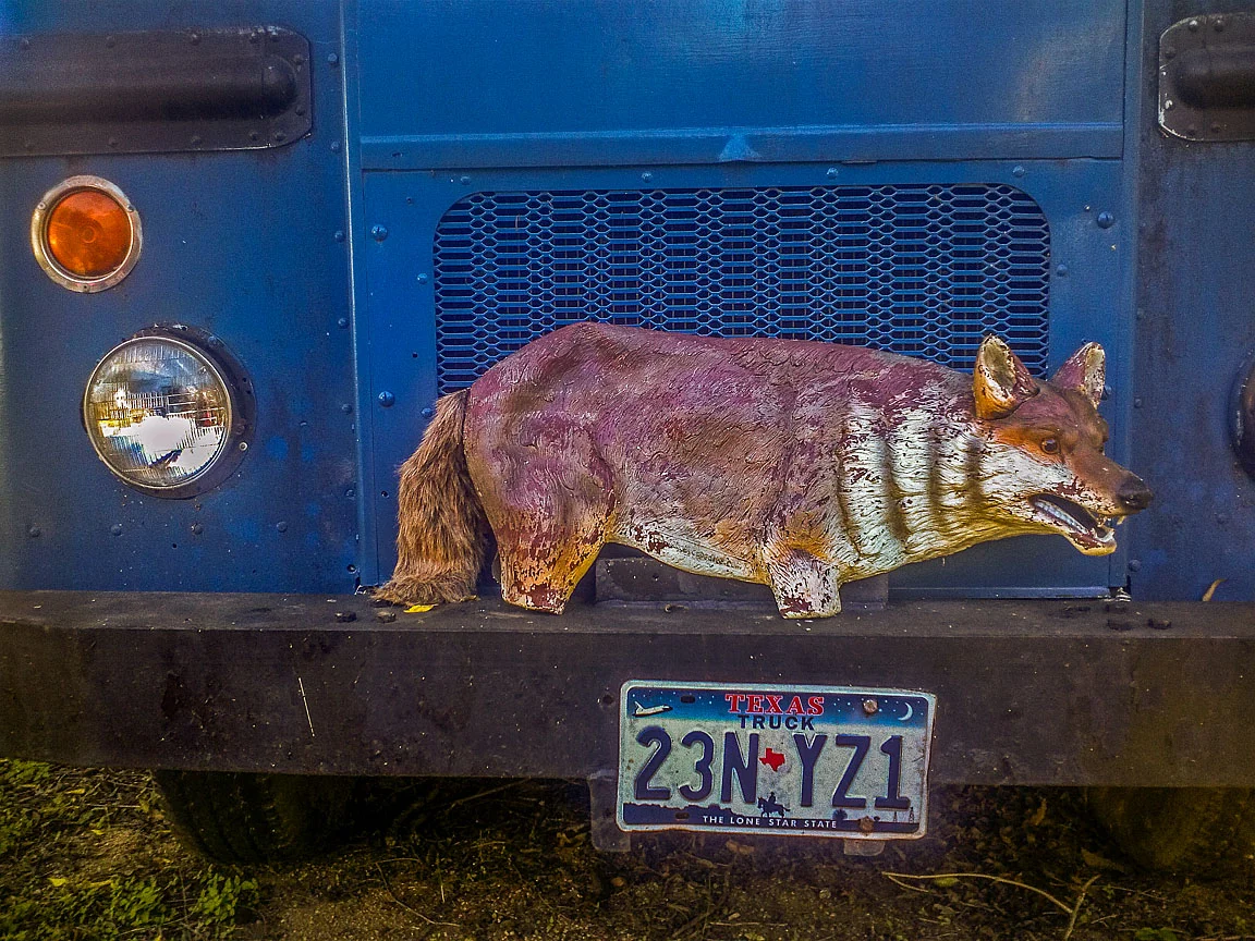 WEB Wolf (1 of 1) +Elem12 2.jpg