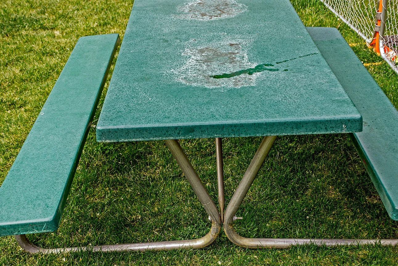 WEB Picnic Table (1 of 1) 2.jpg