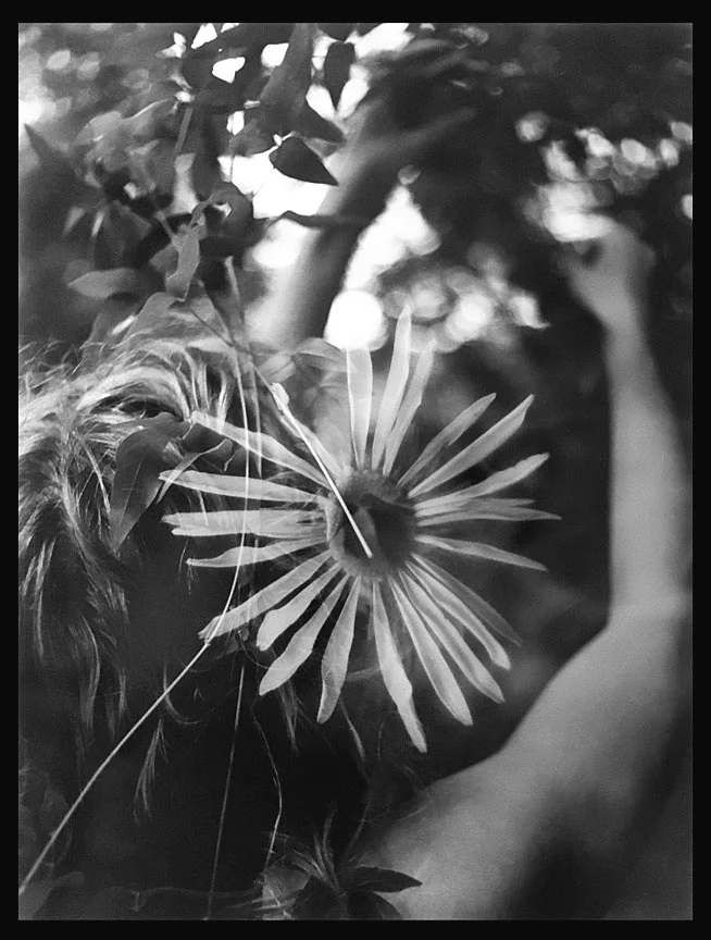 WEB Woman and Flower.jpg