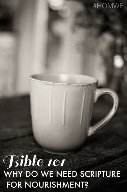 Why Do We Need the Bible for Nourishment?