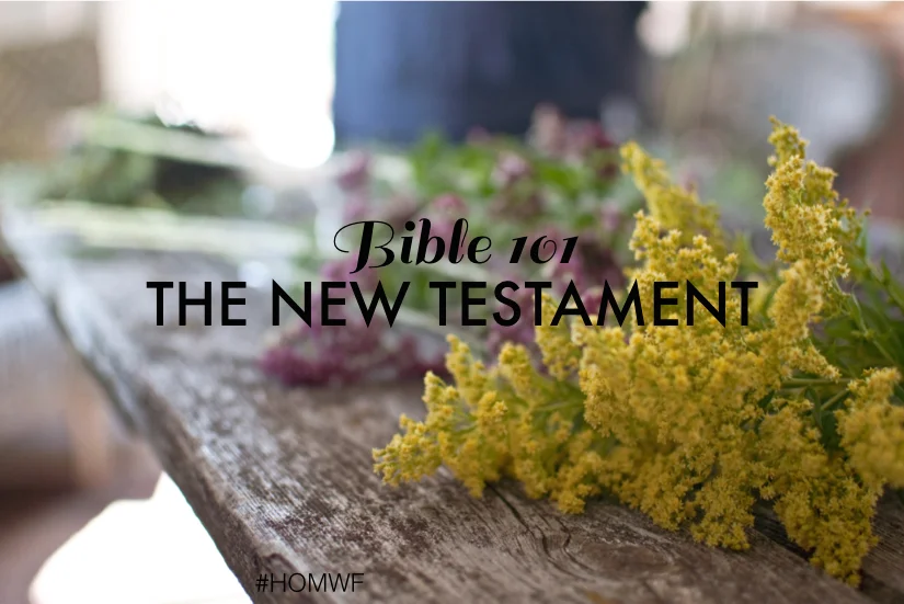 What is the New Testament?