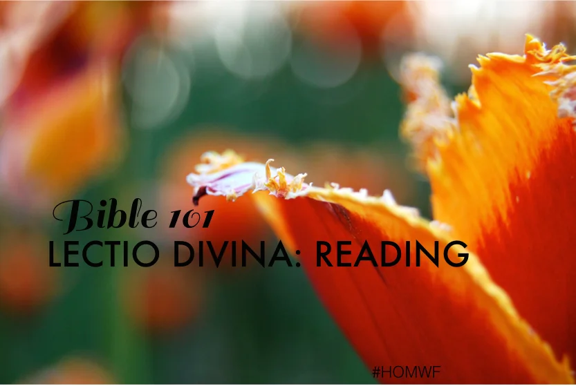 Lectio Divina // Part 1 of 4