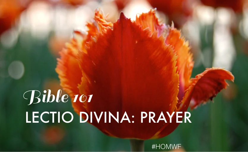 Lectio Divina // Part 3 of 4