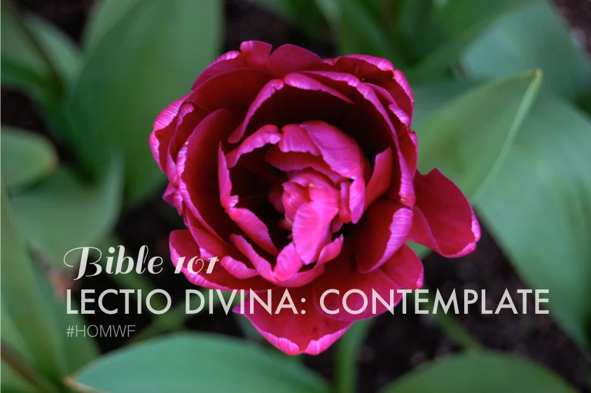 Lectio Divina // Part 4 of 4