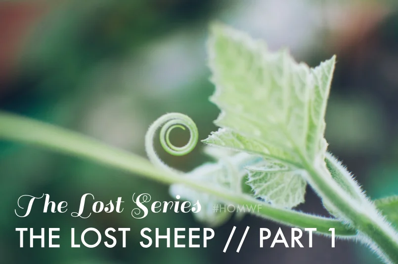 The Lost Sheep // Part 1