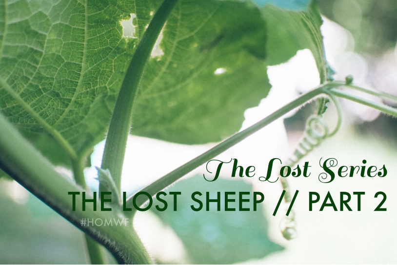 The Lost Sheep // Part 2